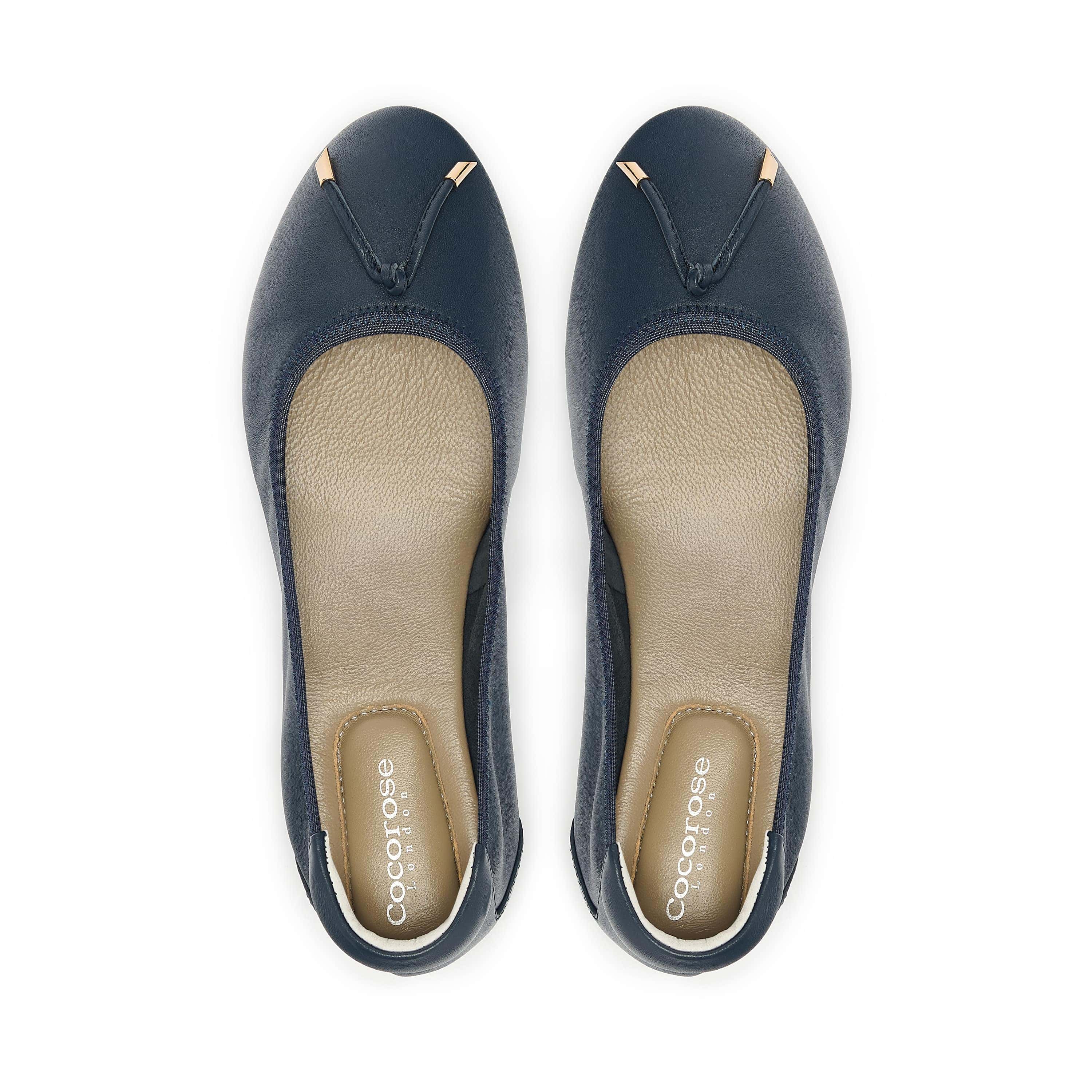 Navy Leather Ballet Flat with Pointed Toe, birds eye view