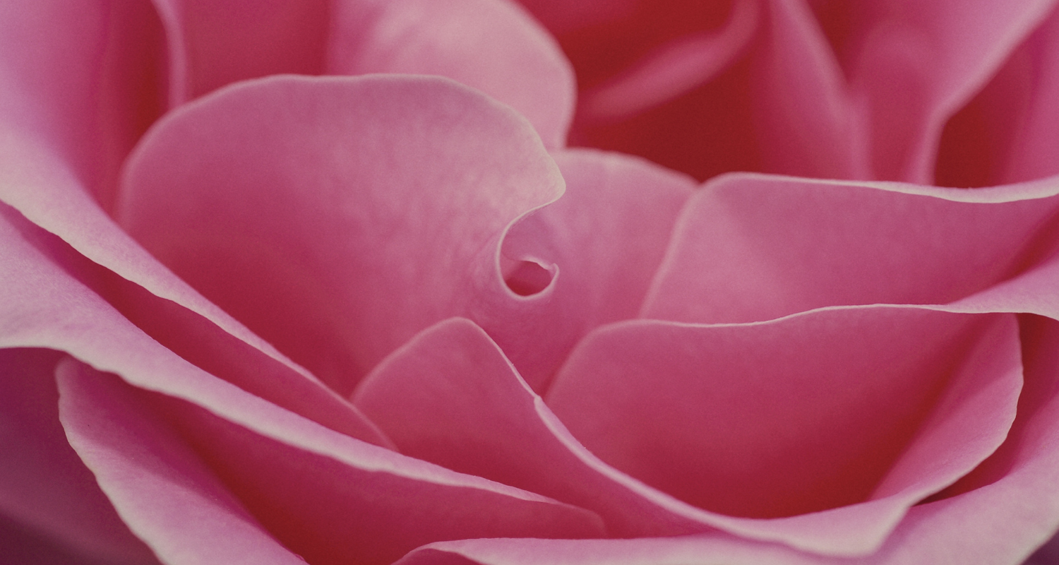 Super Soft Leather Ballet Flats; Cocorose Associations