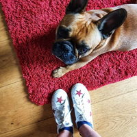 Cocorose 5 Star Reviews. Womens Leather Trainers. Jane with Dog