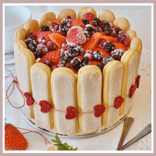 Happy Birthday Cocorose London | 13 Years Old Today
