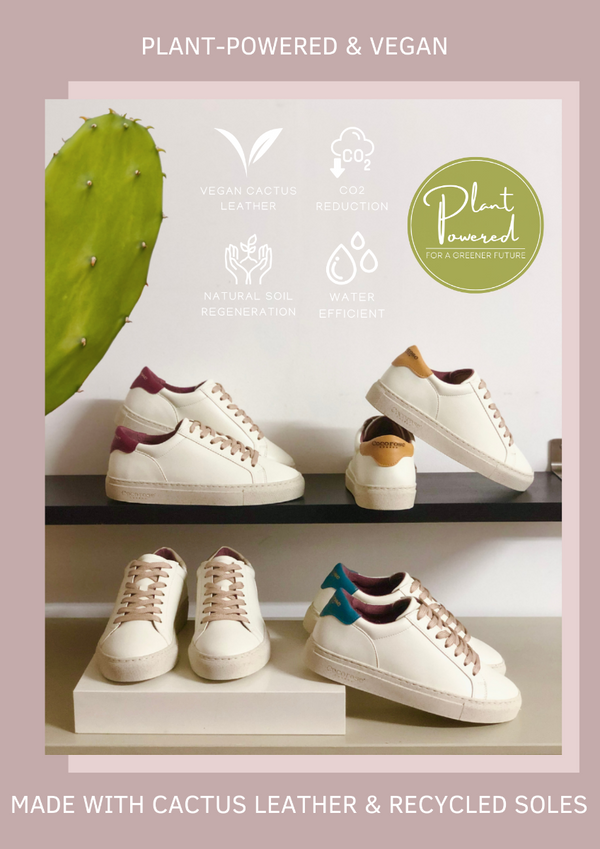 plant-powered and vegan kew trainers