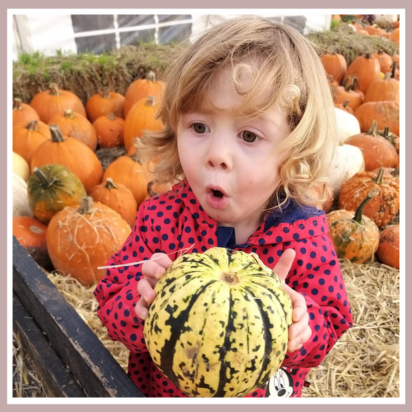 Pumpkin Picking with the kids - a fun day out in the lead up to Halloween