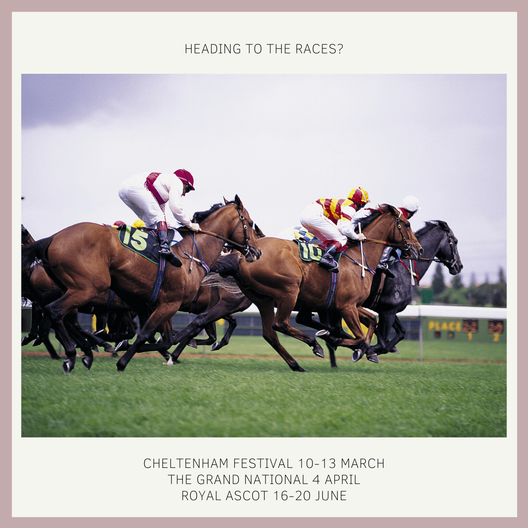 Horses racing at Cheltenham in March
