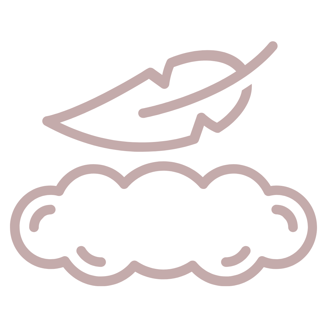 Minimalist line art icon featuring a feather floating above a soft cloud in a muted blush tone.