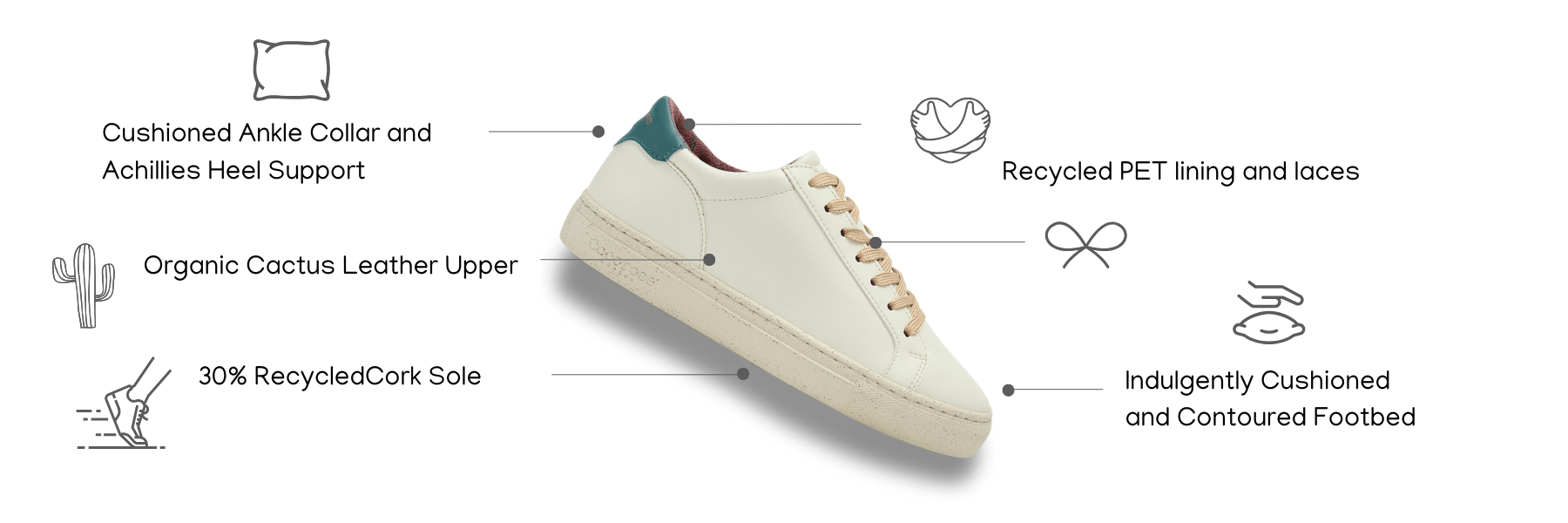 Inside the Comfort of Cocorose London Sustainable footwear. The Vegan Kew style with Cushioned Ankle support and Contoured footbed. Thousands of 5 star reviews from customers since 2007