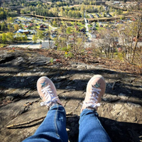 5 Star Review for Cocorose Pastel Pink Womens Leather Trainers, with Gold Stars. Tanja